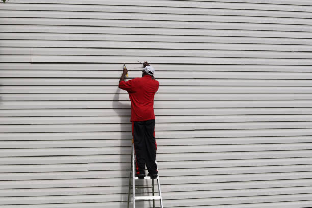 Best Aluminum Siding Installation  in Howard, WI