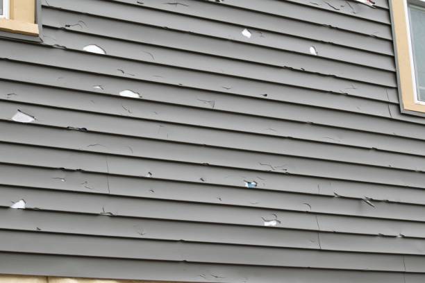 Best Insulated Siding Installation  in Howard, WI